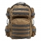 Tan with Gray Trim
